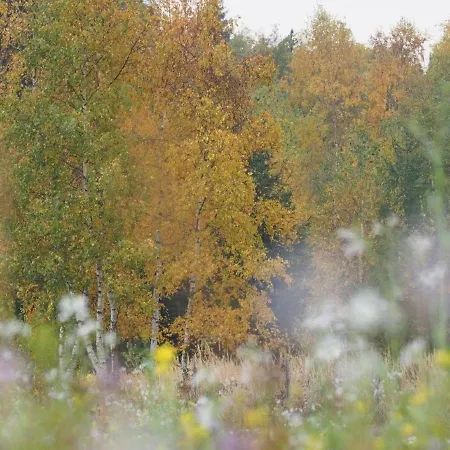 Jutta's Ferientraum